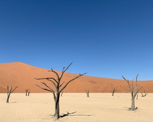 3 Day Namib
